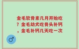 金毛软骨素几月开始吃？金毛幼犬吃骨头补钙，金毛补钙几天吃一次