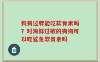 狗狗过胖能吃软骨素吗？对海鲜过敏的狗狗可以吃鲨鱼软骨素吗