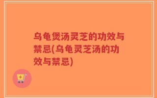 乌龟煲汤灵芝的功效与禁忌(乌龟灵芝汤的功效与禁忌)