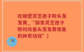 吃破壁灵芝孢子粉头发发黄_“探索灵芝孢子粉对改善头发发黄现象的神奇功效”)