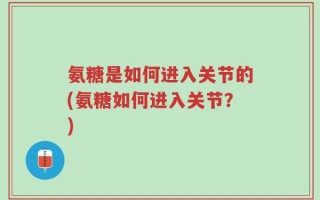 氨糖是如何进入关节的(氨糖如何进入关节？)