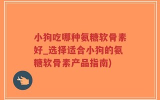 小狗吃哪种氨糖软骨素好_选择适合小狗的氨糖软骨素产品指南)
