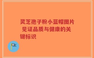 灵芝孢子粉小蓝帽图片 见证品质与健康的关键标识