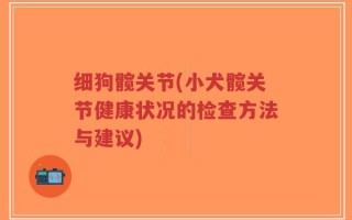 细狗髋关节(小犬髋关节健康状况的检查方法与建议)