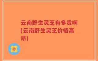 云南野生灵芝有多贵啊(云南野生灵芝价格高昂)