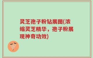 灵芝孢子粉钻展图(浓缩灵芝精华，孢子粉展现神奇功效)
