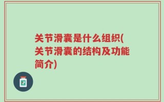关节滑囊是什么组织(关节滑囊的结构及功能简介)