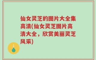 仙女灵芝的图片大全集高清(仙女灵芝图片高清大全，欣赏美丽灵芝风采)