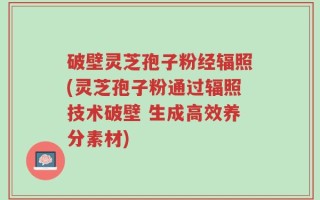 破壁灵芝孢子粉经辐照(灵芝孢子粉通过辐照技术破壁 生成高效养分素材)