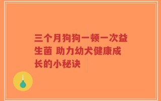 三个月狗狗一顿一次益生菌 助力幼犬健康成长的小秘诀