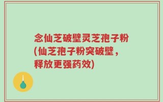 念仙芝破壁灵芝孢子粉(仙芝孢子粉突破壁，释放更强药效)