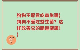 狗狗不愿意吃益生菌(狗狗不爱吃益生菌？这样改善它的肠道健康！)