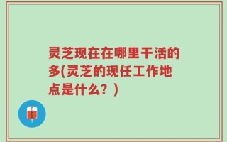 灵芝现在在哪里干活的多(灵芝的现任工作地点是什么？)