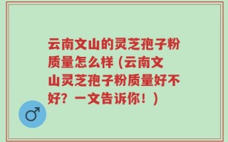云南文山的灵芝孢子粉质量怎么样 (云南文山灵芝孢子粉质量好不好？一文告诉你！)