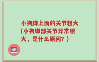 小狗脚上面的关节粗大(小狗脚部关节异常肥大，是什么原因？)