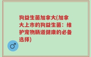 狗益生菌加拿大(加拿大上市的狗益生菌：维护宠物肠道健康的必备选择)