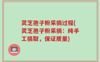 灵芝孢子粉采摘过程(灵芝孢子粉采摘：纯手工摘取，保证质量)