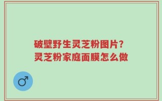 破壁野生灵芝粉图片？灵芝粉家庭面膜怎么做