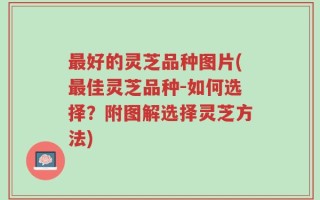 最好的灵芝品种图片(最佳灵芝品种-如何选择？附图解选择灵芝方法)