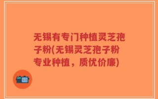 无锡有专门种植灵芝孢子粉(无锡灵芝孢子粉专业种植，质优价廉)