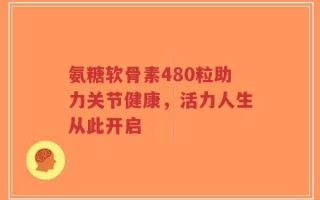 氨糖软骨素480粒助力关节健康，活力人生从此开启