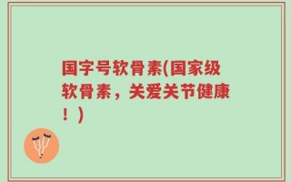 国字号软骨素(国家级软骨素，关爱关节健康！)