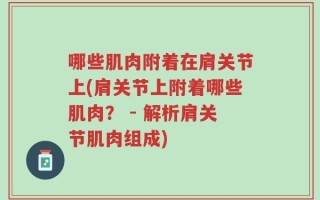 哪些肌肉附着在肩关节上(肩关节上附着哪些肌肉？ - 解析肩关节肌肉组成)