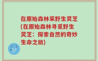 在原始森林采野生灵芝(在原始森林寻觅野生灵芝：探索自然的奇妙生命之旅)