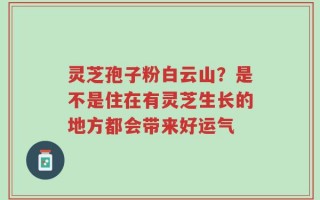 灵芝孢子粉白云山？是不是住在有灵芝生长的地方都会带来好运气