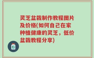 灵芝盆栽制作教程图片及价格(如何自己在家种植健康的灵芝，低价盆栽教程分享)
