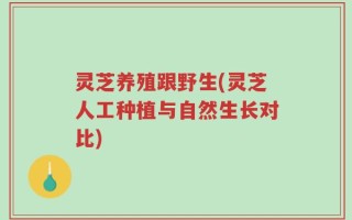 灵芝养殖跟野生(灵芝人工种植与自然生长对比)