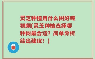 灵芝种植用什么树好呢视频(灵芝种植选择哪种树最合适？简单分析给出建议！)