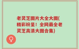 老灵芝图片大全大图(精彩纷呈！全网最全老灵芝高清大图合集)