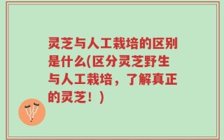 灵芝与人工栽培的区别是什么(区分灵芝野生与人工栽培，了解真正的灵芝！)