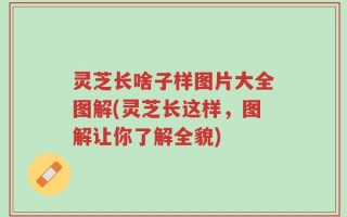 灵芝长啥子样图片大全图解(灵芝长这样，图解让你了解全貌)