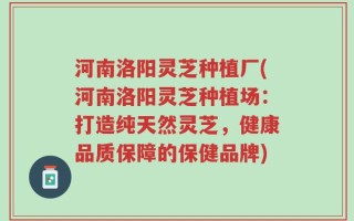 河南洛阳灵芝种植厂(河南洛阳灵芝种植场：打造纯天然灵芝，健康品质保障的保健品牌)
