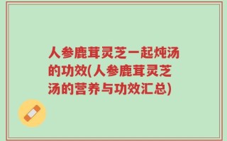 人参鹿茸灵芝一起炖汤的功效(人参鹿茸灵芝汤的营养与功效汇总)