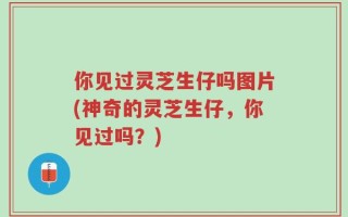 你见过灵芝生仔吗图片(神奇的灵芝生仔，你见过吗？)