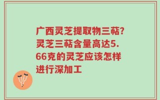 广西灵芝提取物三萜？灵芝三萜含量高达5.66克的灵芝应该怎样进行深加工
