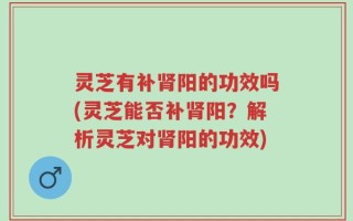 灵芝有补肾阳的功效吗(灵芝能否补肾阳？解析灵芝对肾阳的功效)