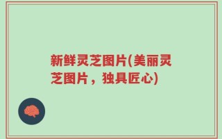 新鲜灵芝图片(美丽灵芝图片，独具匠心)