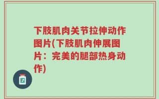 下肢肌肉关节拉伸动作图片(下肢肌肉伸展图片：完美的腿部热身动作)