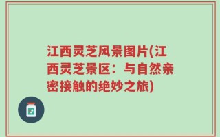 江西灵芝风景图片(江西灵芝景区：与自然亲密接触的绝妙之旅)