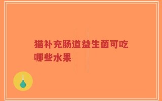 猫补充肠道益生菌可吃哪些水果