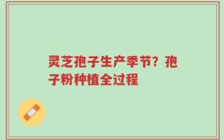灵芝孢子生产季节？孢子粉种植全过程