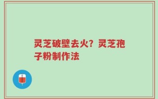 灵芝破壁去火？灵芝孢子粉制作法