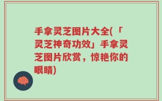 手拿灵芝图片大全(「灵芝神奇功效」手拿灵芝图片欣赏，惊艳你的眼睛)