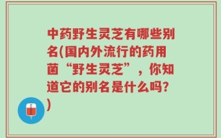 中药野生灵芝有哪些别名(国内外流行的药用菌“野生灵芝”，你知道它的别名是什么吗？)