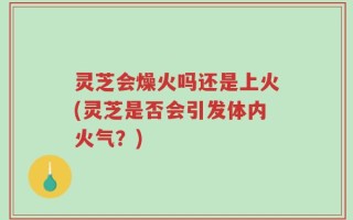 灵芝会燥火吗还是上火(灵芝是否会引发体内火气？)