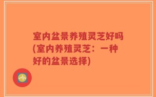 室内盆景养殖灵芝好吗(室内养殖灵芝：一种好的盆景选择)